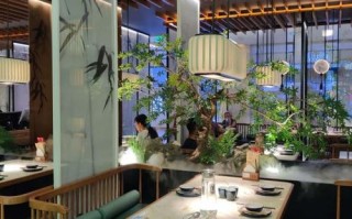 茶叶放在餐厅销量怎么样（为什么有人感觉绿茶餐厅好吃）