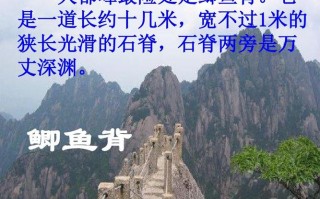 鱼背在哪里（北京鲫鱼背在哪里）