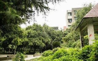 成都钢管厂五区房子怎么样（成都钢管厂五区的房子怎么样）