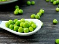 哪里卖鲜青豆（哪里卖鲜青豆好）