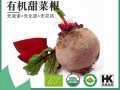 甜菜根在哪里买（甜菜根在哪里买得到）
