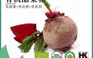 甜菜根在哪里买（甜菜根在哪里买得到）