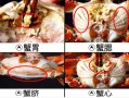 梭子蟹吃哪里最正确,梭子蟹能吃哪里的肉