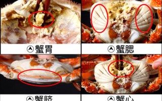 梭子蟹吃哪里最正确,梭子蟹能吃哪里的肉