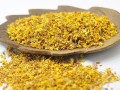 哪里可以买到干桂花（逆水寒花袋桂花干怎么得）