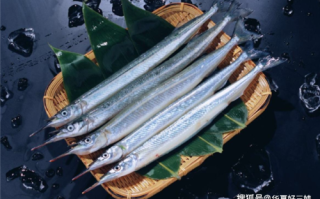 刀鱼哪里好,刀鱼哪里的好吃