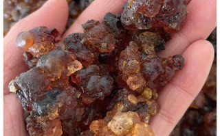 桃胶的地理分布,哪里盛产桃胶