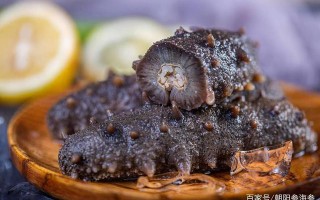 海参哪里产的最好吃（海参哪里产的最好吃最正宗）