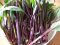 紫菜苔吃哪里（红油菜苔哪些部位能吃）