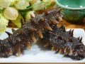 哪里的海参比较好（哪里的海参比较好啊）