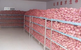红薯怎么做颗粒饲料,红薯进货位置在哪里