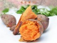 全国哪里的红薯最好吃（全国哪里的红薯最好吃）