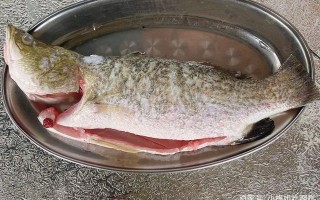鲈鱼吃哪里（鲈鱼吃哪里没有刺）