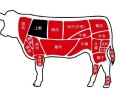 后座肉是哪里（牛后座肉是哪个部位）