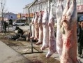 怎么样卖羊肉（怎么样卖羊肉挣钱）