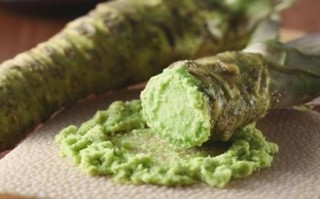 芥末哪里的最好（芥末哪里的最好?哪里的最好?）