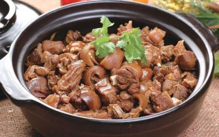 天津哪里有狗肉火锅（天津哪里有狗肉火锅店）