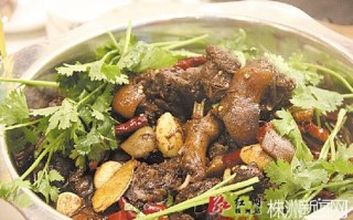 长沙哪里的狗肉好吃（湖南那城市最多狗肉卖）