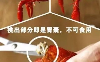 龙虾哪些部位能吃,小龙虾吃哪个地方