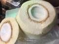 东莞茶餐厅哪家好吃,东莞哪里的椰子冻好吃又便宜