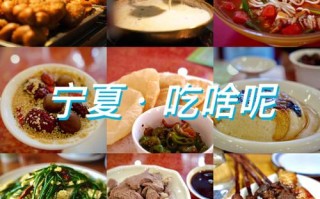 中卫哪里有吃的（中卫哪里有吃的地方啊）