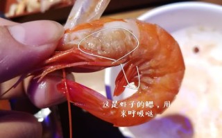 虾腮在哪里（虾腮在哪儿）
