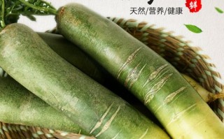 中国最好萝卜品种,潍坊哪里的萝卜好吃