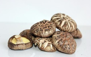 哪里收香菇渣子（哪里收香菇渣子最多）