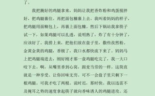 帅小滋炸鸡汉堡口碑怎么样（关于炸鸡的作文让人口水流）