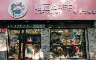 开网红店怎么样（开网红店怎么样）
