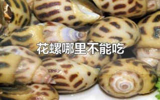 花螺哪里能吃（花螺哪里能吃哪里不能吃）