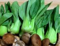 油菜吃哪里（油菜吃哪个部位）
