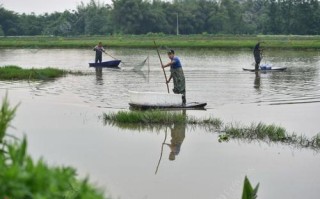 西安雁鸣湖钓小龙虾最佳地点,
