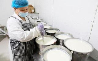 县城开酸奶店怎么样（为什么感觉农村人活的快乐一些）