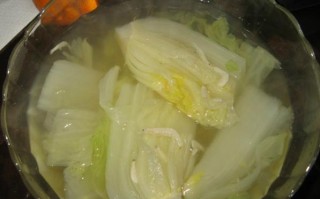 水煮白菜哪里（水煮白菜买哪种白菜）