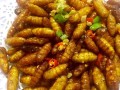 蚕蛹起源地,蚕蛹哪里有吃的啊