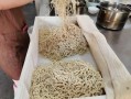 小刀面是哪里的（镇江哪儿有比较好吃的东西啊）