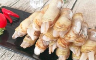 小人仙哪里不能吃（生的小仁仙可以冷藏吗）