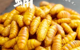 蚕蛹哪里的人爱吃（小蛹为什么超市卖熟的）