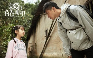 亲爱的你在郦里共多少集,加盟小夫妻怎么样赚钱