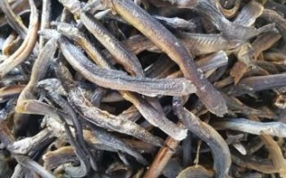 哪里有干泥鳅卖（泥鳅怎样晒成干）