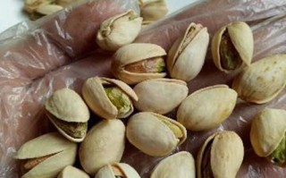 开心果一亩地可以产量多少斤,开心果产于哪里?
