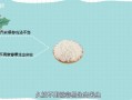 米放在哪里不生虫子（为什么把米放到塑料桶就不会生米虫）