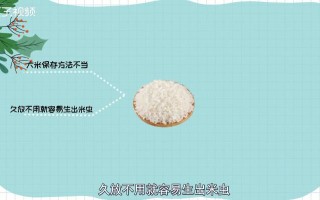 米放在哪里不生虫子（为什么把米放到塑料桶就不会生米虫）