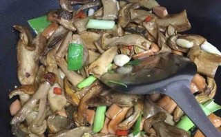牛肝菌哪里有卖（泡椒牛肝菌的做法）