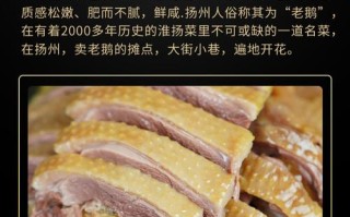 哪里盐水鹅好吃（镇江润州哪里能买到好吃的盐水鹅）