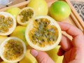 百香果哪里的品种最好吃,云南百香果和广西百香果哪里好