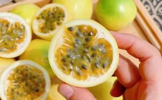 百香果哪里的品种最好吃,云南百香果和广西百香果哪里好