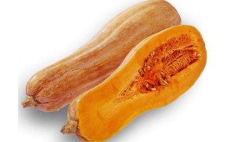 哪里的南瓜好吃（中国最好吃南瓜排名）