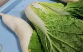 萝卜吃根,白菜吃叶,你还知道那些菜该吃什么,小白菜哪里吃最好